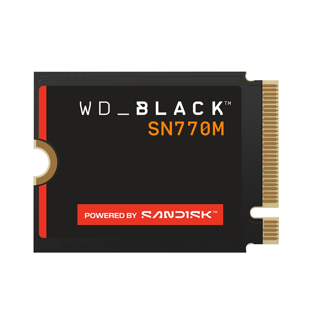 Памет SSD 1TB Western Digital WD_BLACK SN770M (WDS100T3X0G-00CHY0)